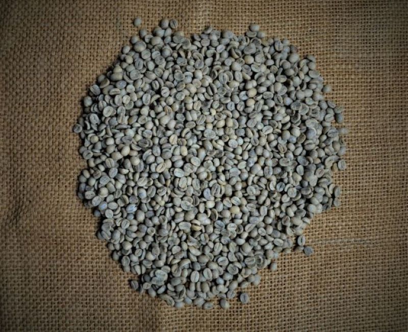 Pacamara Natural Green Coffee
